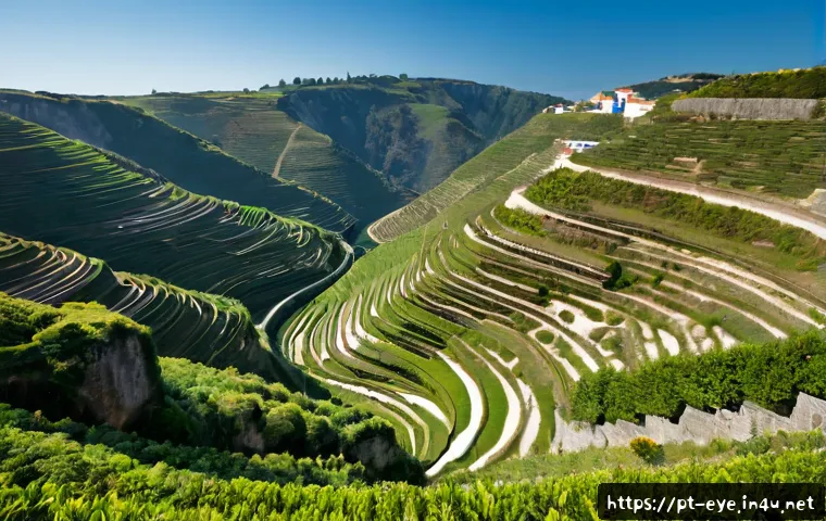 Cansaço visual no dia a dia: como aliviar e quando investir em ajustes no ambiente 4 눈 피로 완화 방법 관련 이미지 2